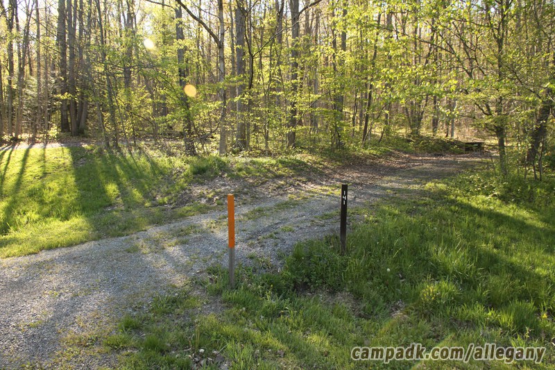 Campsite Photo of Site 141 at Allegany State Park, New York - Looking at Site from Road Sign Visible