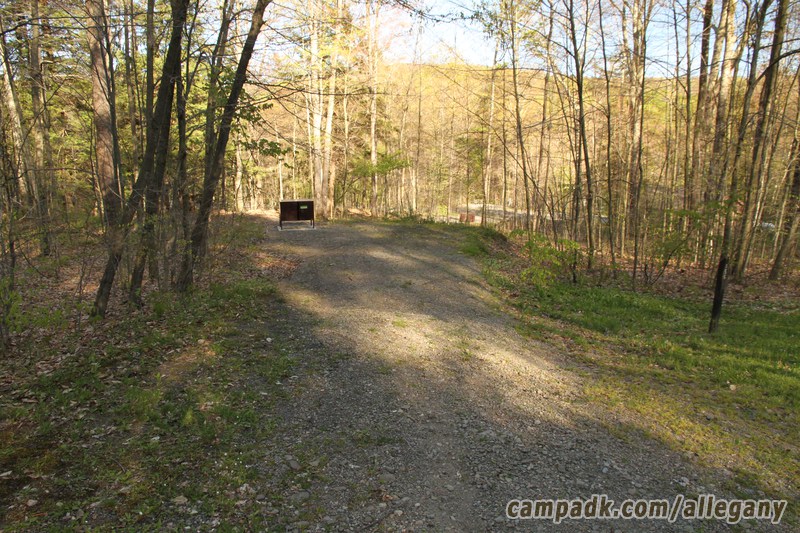 Campsite Photo of Site 156 at Allegany State Park, New York - Looking at Site from Road Sign Visible