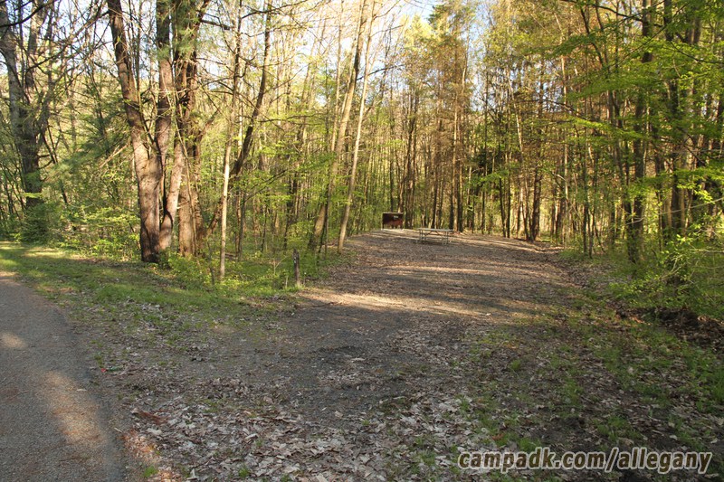 Campsite Photo of Site 146 at Allegany State Park, New York - Looking at Site from Road Sign Visible