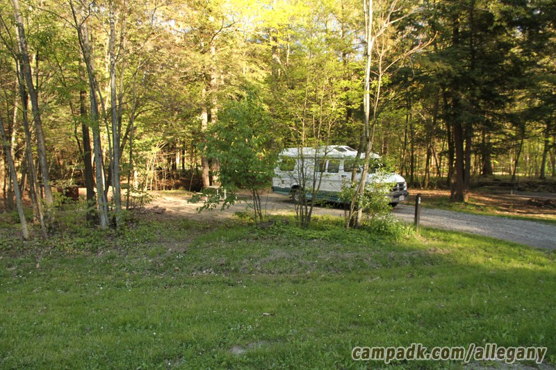 Campsite Photo of Site 50 at Allegany State Park, New York - Looking at Site from Road Sign Visible