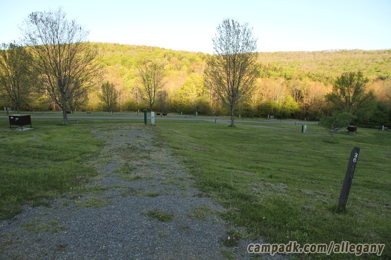 Campsite Photo of Site 30 at Allegany State Park, New York - Looking at Site from Road Sign Visible