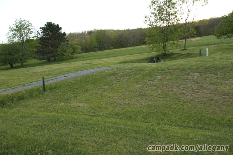Campsite Photo of Site 35 at Allegany State Park, New York - Looking at Site from Road Sign Visible