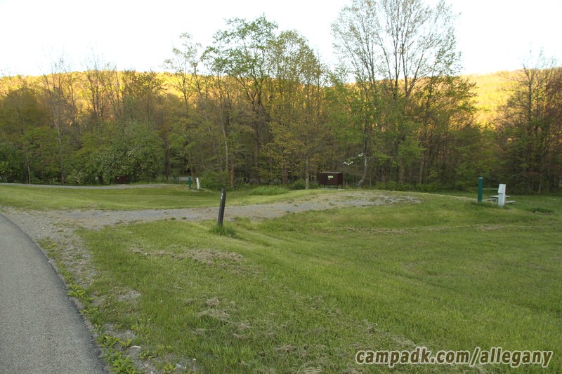 Campsite Photo of Site 40 at Allegany State Park, New York - Looking at Site from Road Sign Visible