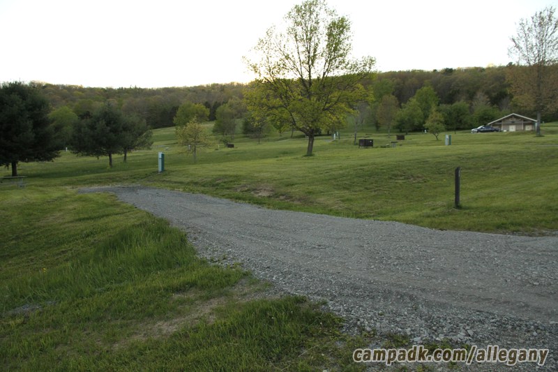 Campsite Photo of Site 25 at Allegany State Park, New York - Looking at Site from Road Sign Visible
