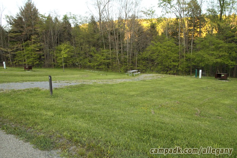 Campsite Photo of Site 5 at Allegany State Park, New York - Looking at Site from Road Sign Visible