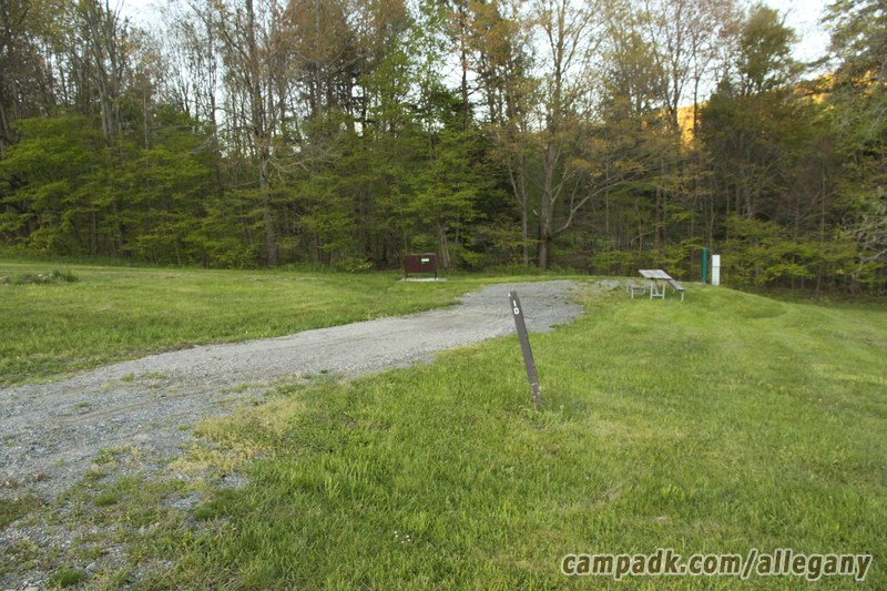 Campsite Photo of Site 10 at Allegany State Park, New York - Looking at Site from Road Sign Visible