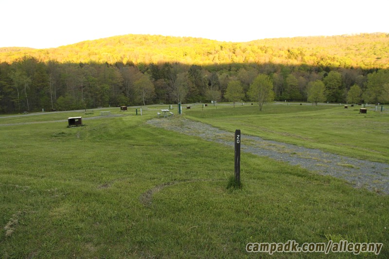 Campsite Photo of Site 20 at Allegany State Park, New York - Looking at Site from Road Sign Visible