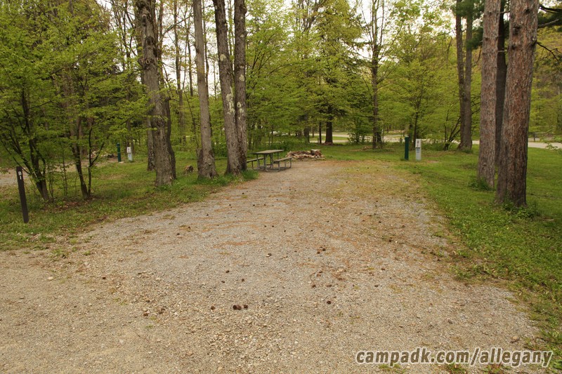 Campsite Photo of Site 1 at Allegany State Park, New York - Looking at Site from Road Sign Visible