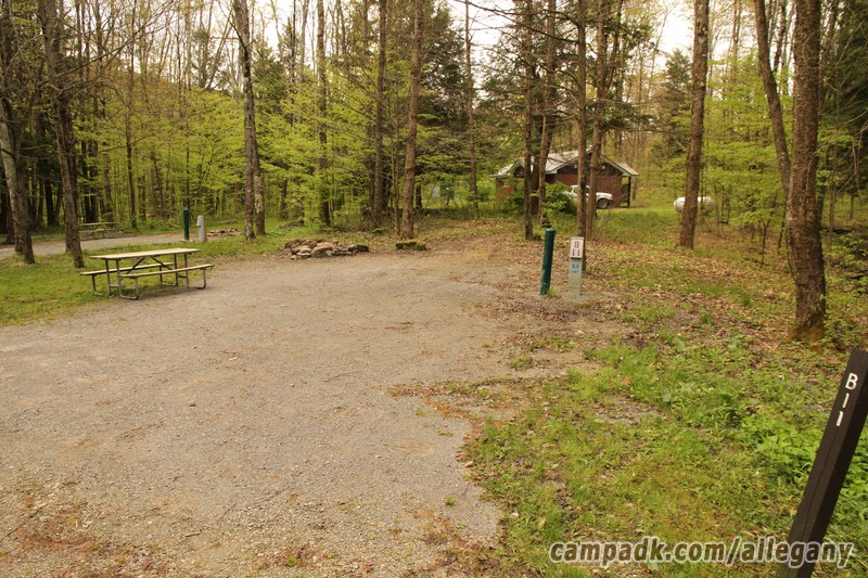 Campsite Photo of Site 11 at Allegany State Park, New York - Looking at Site from Road Sign Visible