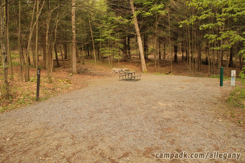Campsite Photo of Site C4 at Allegany State Park, New York - Looking at Site from Road Sign Visible