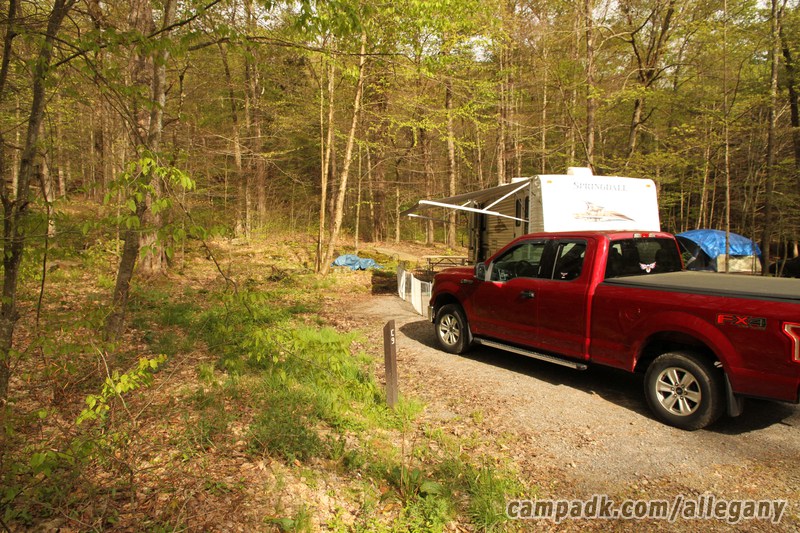 Campsite Photo of Site C9 at Allegany State Park, New York - Looking at Site from Road Sign Visible