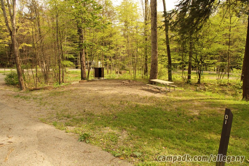 Campsite Photo of Site D1 at Allegany State Park, New York - Looking at Site from Road Sign Visible