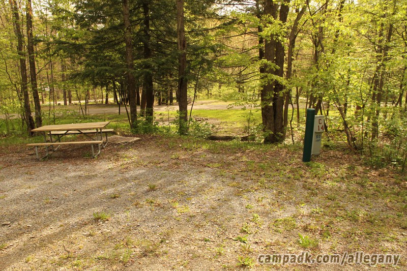Campsite Photo of Site C14 at Allegany State Park, New York - Looking at Site from Road Sign Visible
