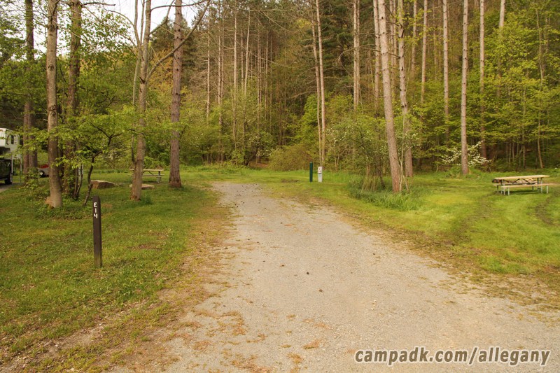 Campsite Photo of Site 14 at Allegany State Park, New York - Looking at Site from Road Sign Visible