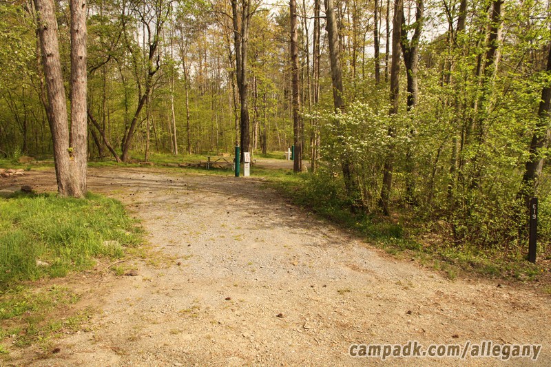 Campsite Photo of Site 19 at Allegany State Park, New York - Looking at Site from Road Sign Visible