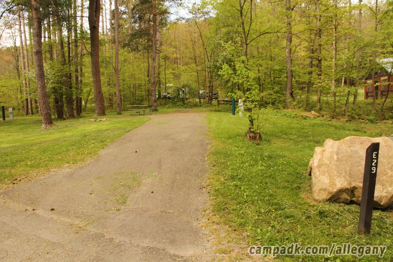 Campsite Photo of Site 29 at Allegany State Park, New York - Looking at Site from Road Sign Visible