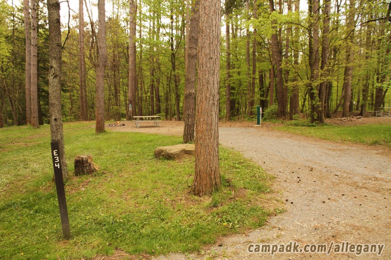 Campsite Photo of Site 34 at Allegany State Park, New York - Looking at Site from Road Sign Visible