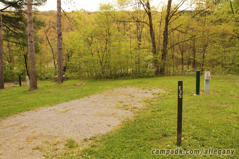 Campsite Photo of Site 39 at Allegany State Park, New York - Looking at Site from Road Sign Visible