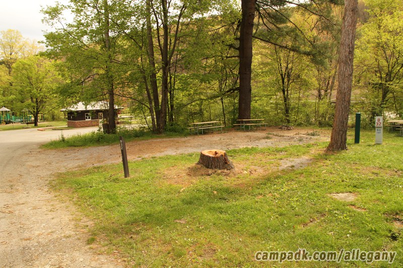 Campsite Photo of Site 32 at Allegany State Park, New York - Looking at Site from Road Sign Visible