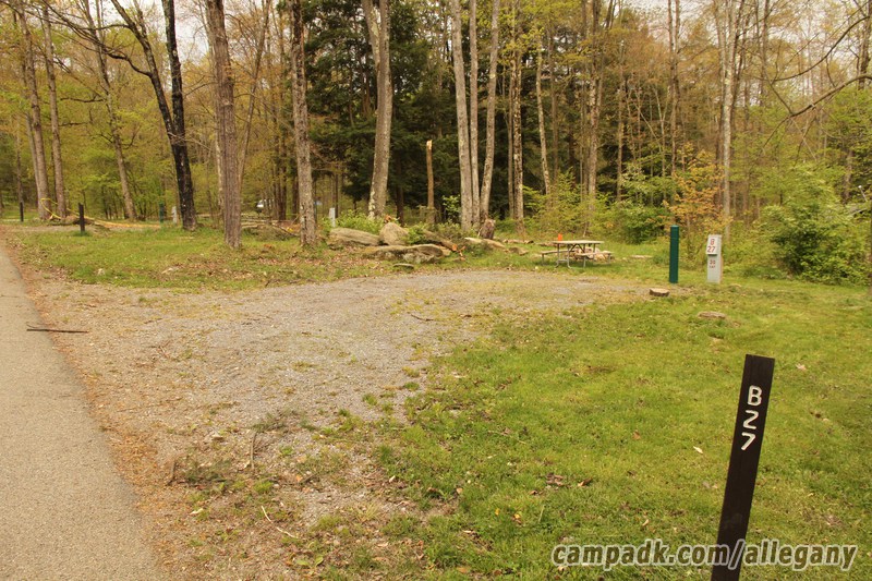 Campsite Photo of Site 27 at Allegany State Park, New York - Looking at Site from Road Sign Visible