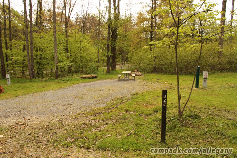Campsite Photo of Site 22 at Allegany State Park, New York - Looking at Site from Road Sign Visible
