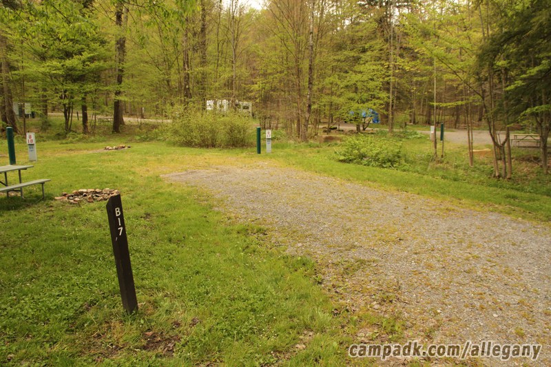 Campsite Photo of Site 17 at Allegany State Park, New York - Looking at Site from Road Sign Visible