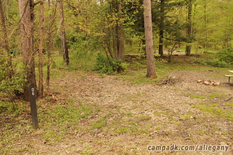 Campsite Photo of Site D6 at Allegany State Park, New York - Looking at Site from Road Sign Visible