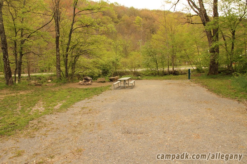 Campsite Photo of Site 1 at Allegany State Park, New York - Looking at Site from Road