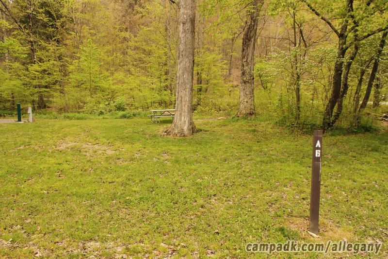 Campsite Photo of Site 6 at Allegany State Park, New York - Looking at Site from Road Sign Visible