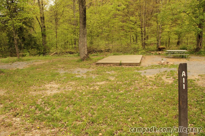 Campsite Photo of Site 11 at Allegany State Park, New York - Looking at Site from Road Sign Visible
