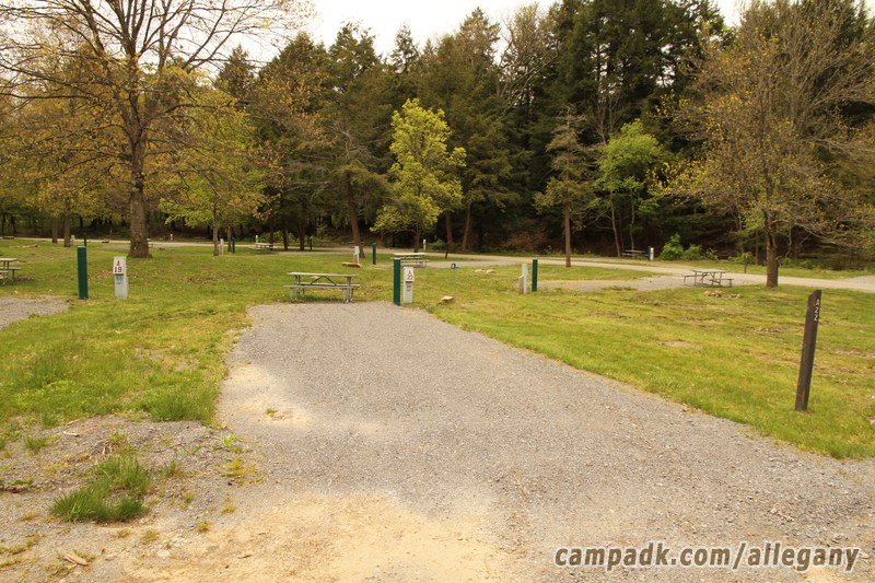 Campsite Photo of Site 22 at Allegany State Park, New York - Looking at Site from Road Sign Visible