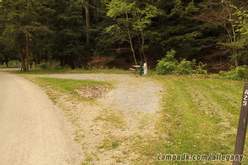Campsite Photo of Site 29 at Allegany State Park, New York - Looking at Site from Road Sign Visible