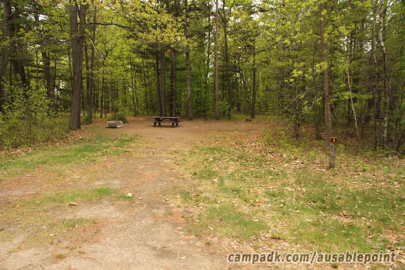 Campsite Photo of Site 5 at Ausable Point Campground, New York - Looking at Site from Road Sign Visible