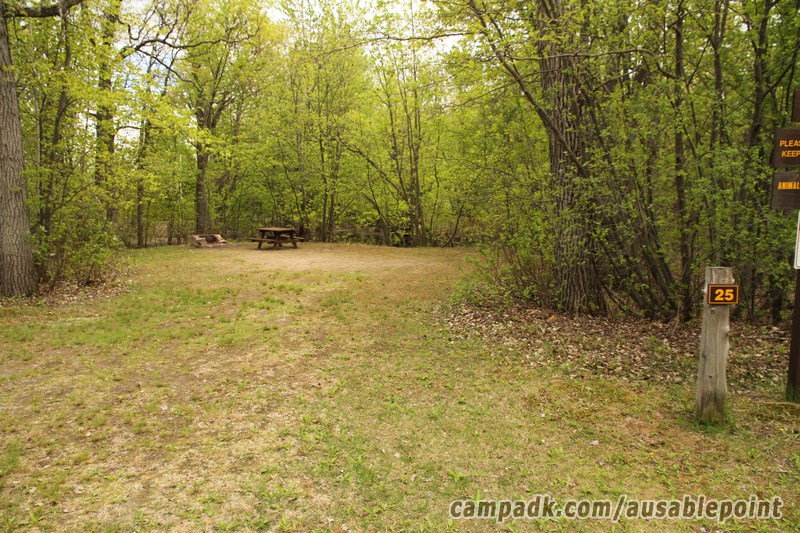 Campsite Photo of Site 25 at Ausable Point Campground, New York - Looking at Site from Road Sign Visible