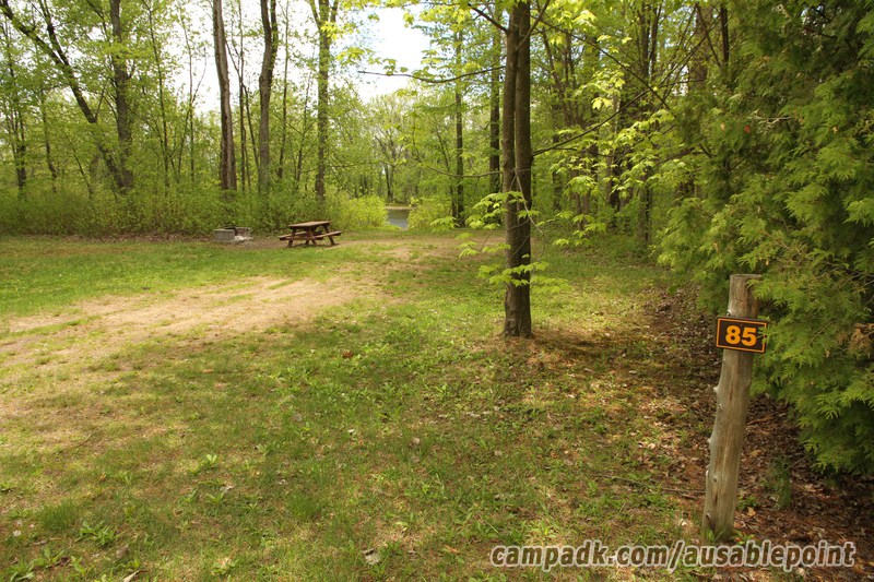 Campsite Photo of Site 85 at Ausable Point Campground, New York - Looking at Site from Road Sign Visible