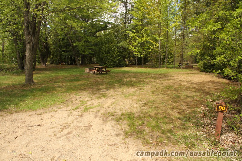 Campsite Photo of Site 90 at Ausable Point Campground, New York - Looking at Site from Road Sign Visible