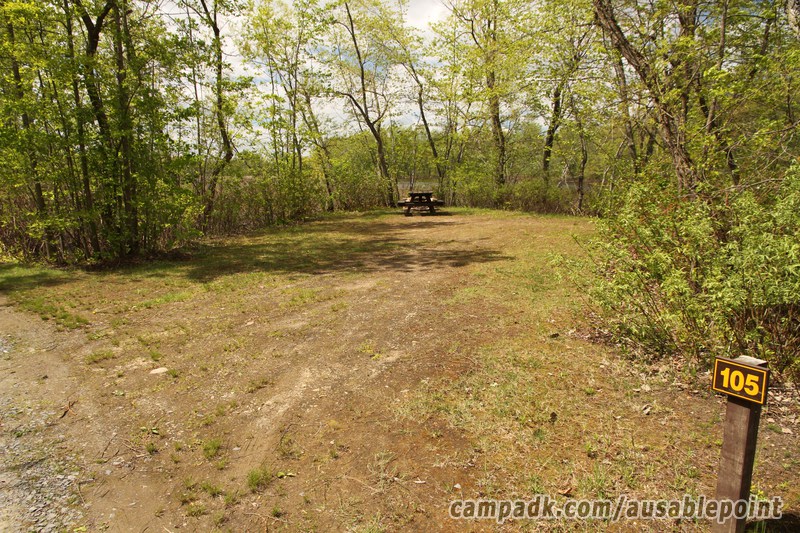 Campsite Photo of Site 105 at Ausable Point Campground, New York - Looking at Site from Road Sign Visible