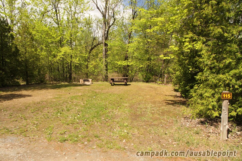 Campsite Photo of Site 115 at Ausable Point Campground, New York - Looking at Site from Road Sign Visible