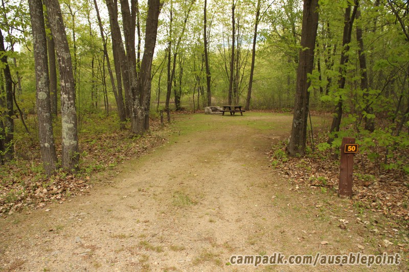 Campsite Photo of Site 50 at Ausable Point Campground, New York - Looking at Site from Road Sign Visible