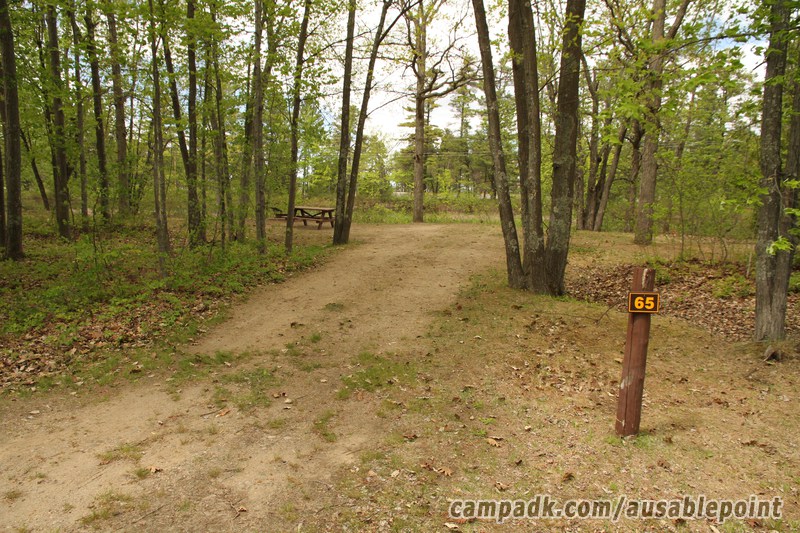 Campsite Photo of Site 65 at Ausable Point Campground, New York - Looking at Site from Road Sign Visible