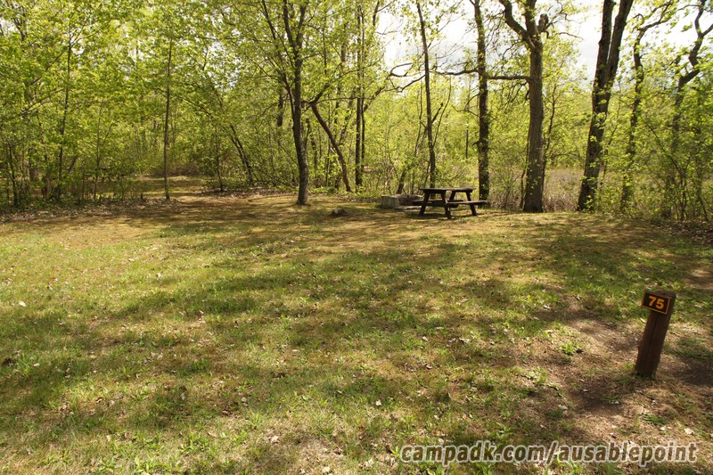 Campsite Photo of Site 75 at Ausable Point Campground, New York - Looking at Site from Road Sign Visible