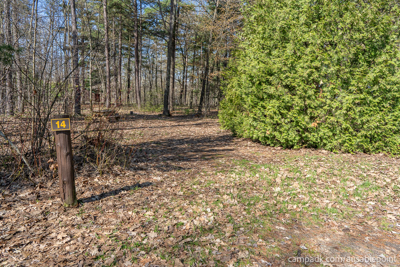 Campsite Photo of Site 14 at Ausable Point Campground, New York - Looking at Site from Road Sign Visible