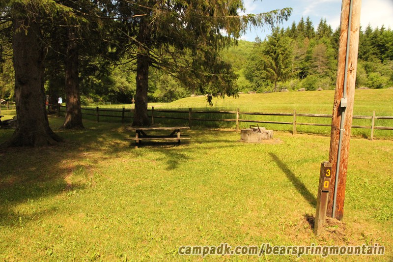 Campsite Photo of Site 30 at Bear Spring Mountain Campground, New York - Looking at Site from Road Sign Visible