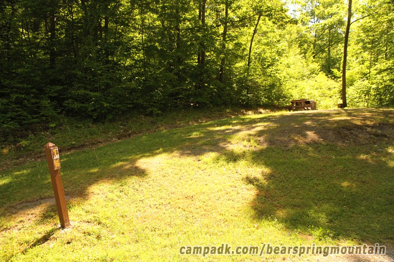 Campsite Photo of Site 15 at Bear Spring Mountain Campground, New York - Looking at Site from Road Sign Visible