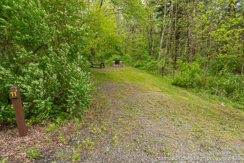 Campsite Photo of Site 11 at Bear Spring Mountain Campground, New York - Looking at Site from Road Sign Visible