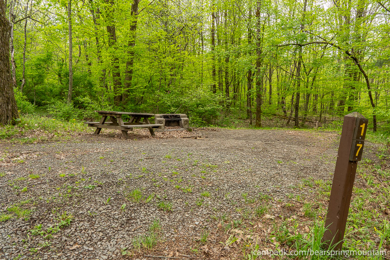 Campsite Photo of Site 17 at Bear Spring Mountain Campground, New York - Looking at Site from Road Sign Visible