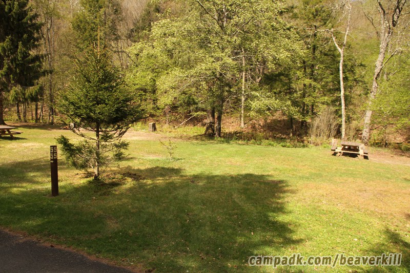 Campsite Photo of Site 10 at Beaverkill Campground, New York - Looking at Site from Road Sign Visible