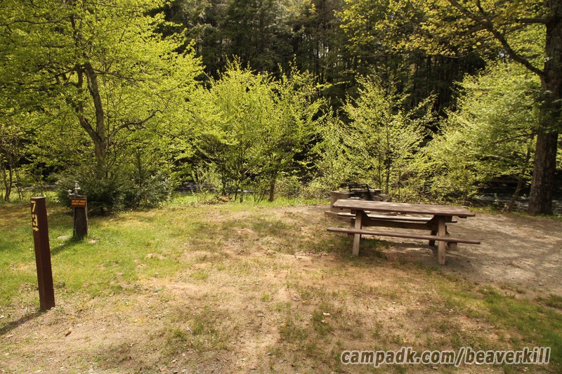 Campsite Photo of Site 30 at Beaverkill Campground, New York - Looking at Site from Road Sign Visible