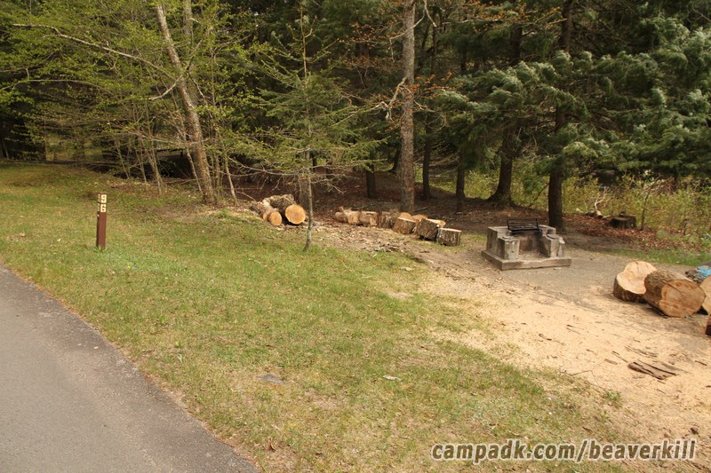 Campsite Photo of Site 45 at Beaverkill Campground, New York - Looking at Site from Road Sign Visible