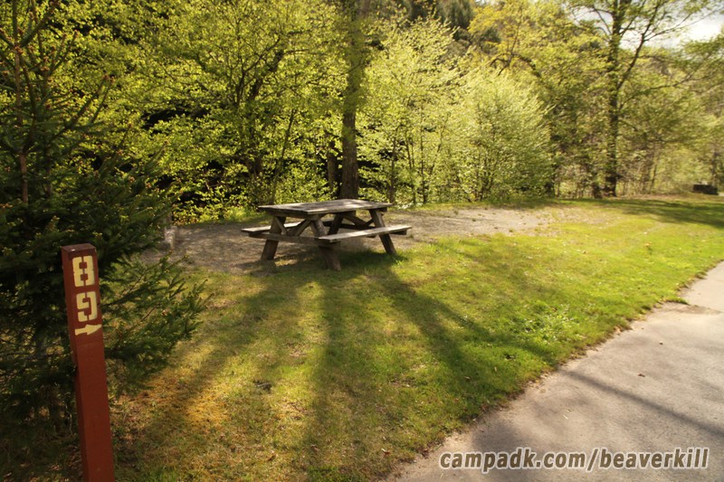 Campsite Photo of Site 40 at Beaverkill Campground, New York - Looking at Site from Road Sign Visible